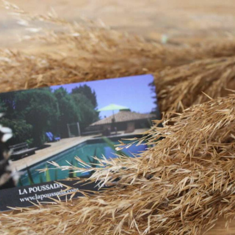 carte-de-visite carte-de-visite