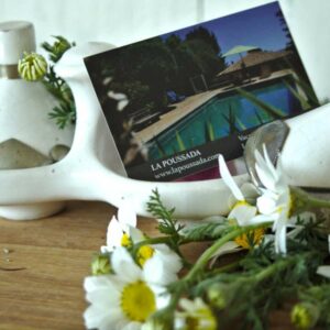 carte-de-visite-2 carte-de-visite-2