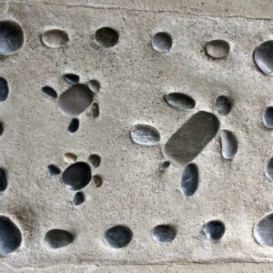 detail-tortuga-sol detail-tortuga-sol