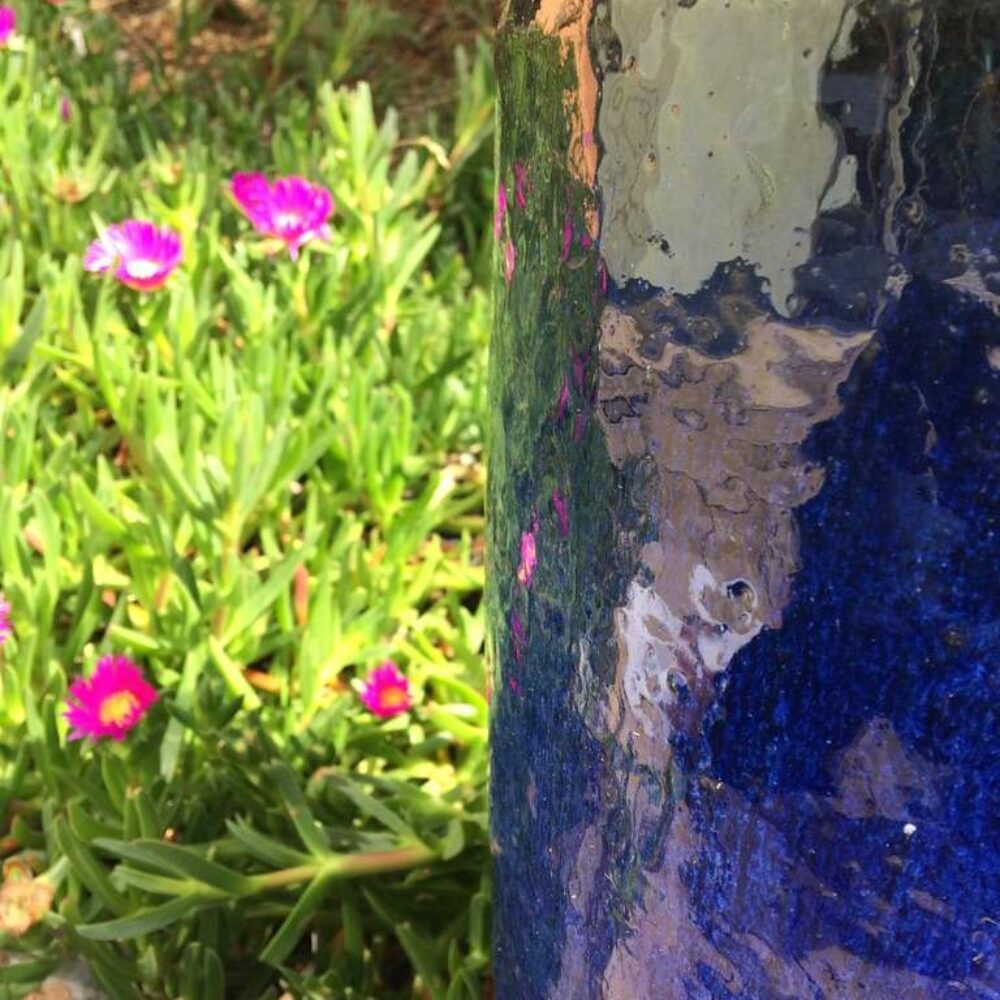 jardin-6-la-poussada jardin-6-la-poussada