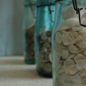 la-poussada-tortuga-location-gite-languedoc-03 la-poussada-tortuga-location-gite-languedoc-03