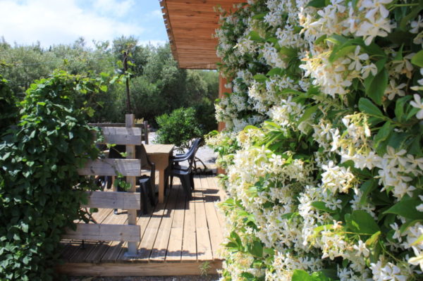 terrasse et jasmin tortuga, la Poussada