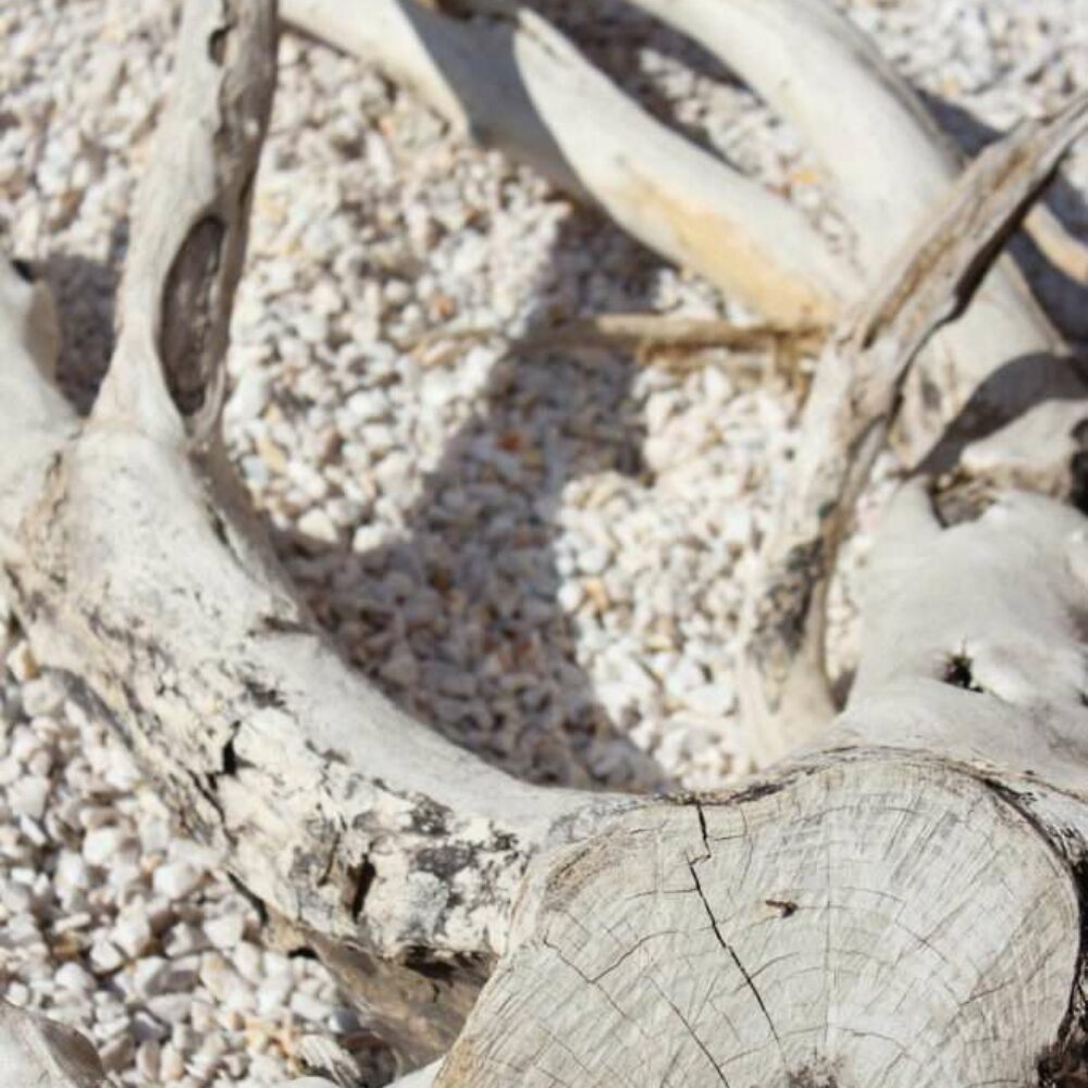 location-leucate-languedoc-vue-mer-09 location-leucate-languedoc-vue-mer-09