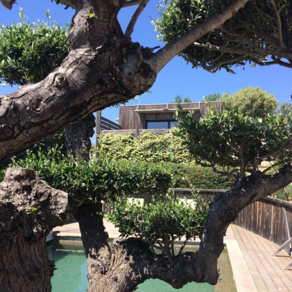 location-leucate-languedoc-vue-mer-11 La Poussada, les cubes, la piscine sécurisée