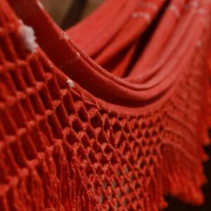 plumeria-location-proche-mer-06 plumeria-location-proche-mer-06