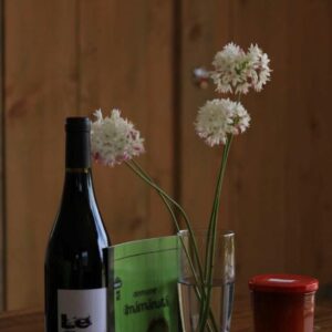 welcome-at-la-poussada bienvenue à la poussada